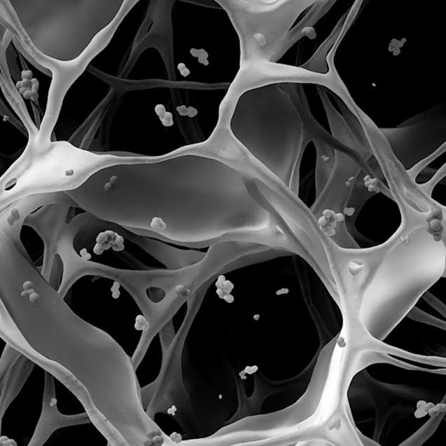 Hydrogel Technology