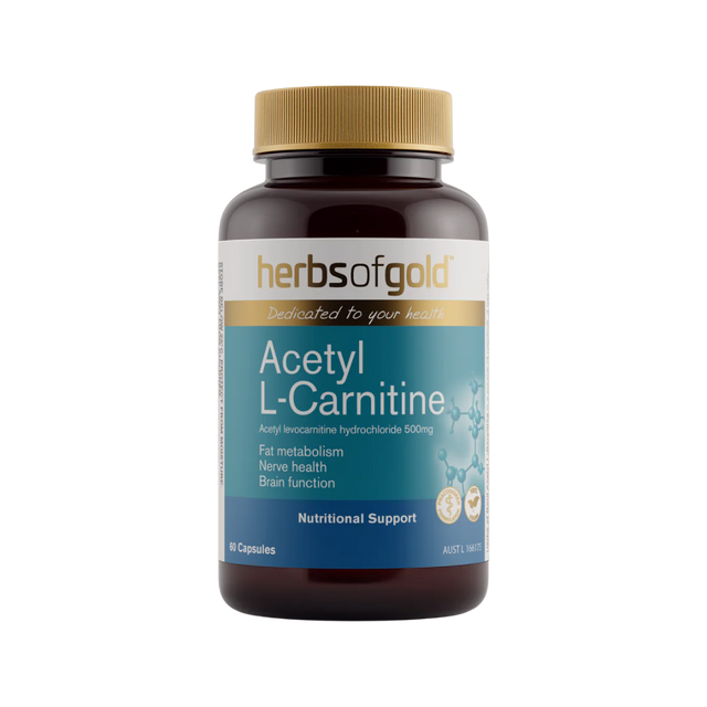Herbs of Gold - Acetyl L-Carnitine
