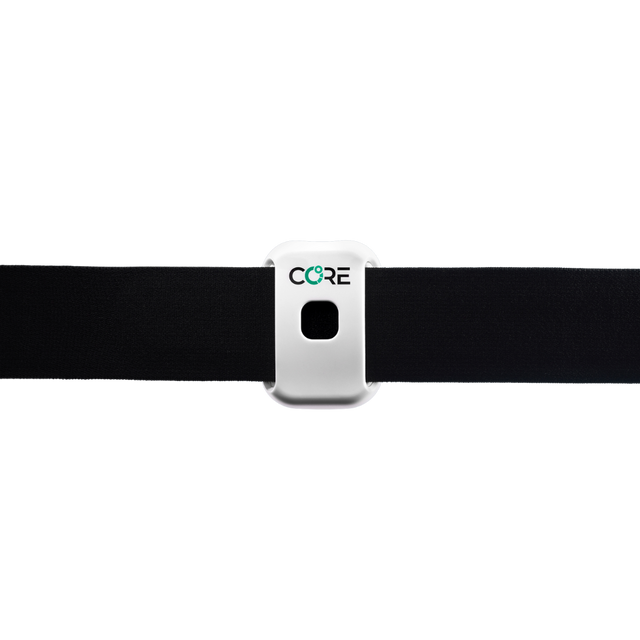 Core - Thermal Sensor 2